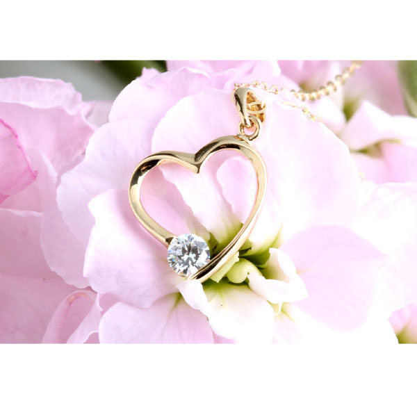 �糪 ��Ʈ �����